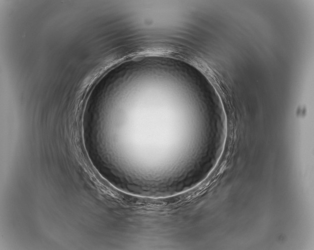 X0000091220337200708091413