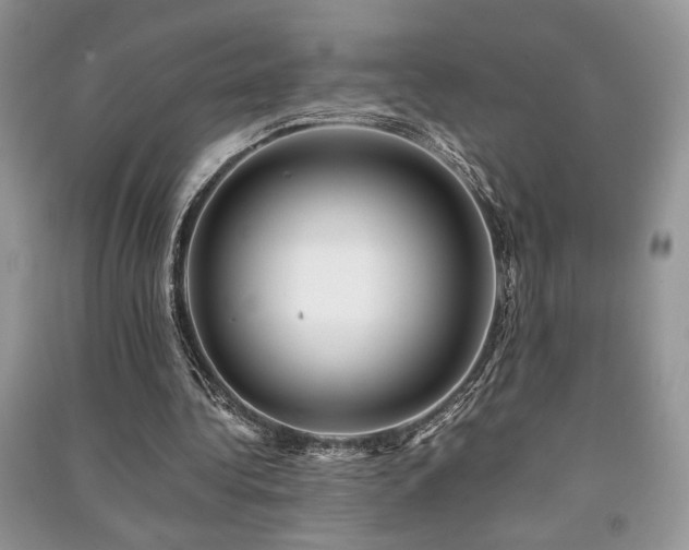 X0000091220340200708091413