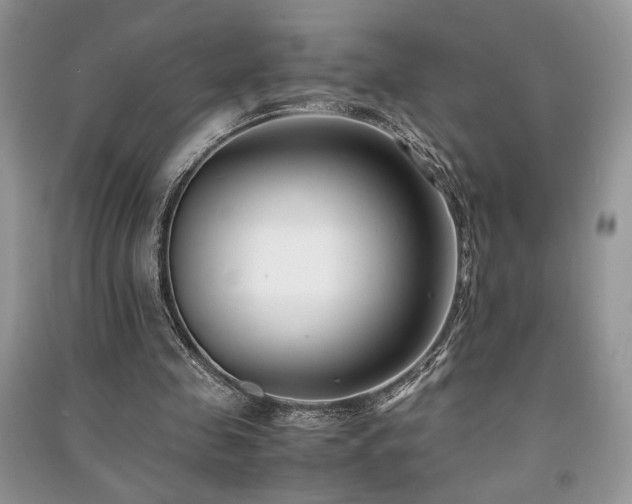 X0000091220341200708091413