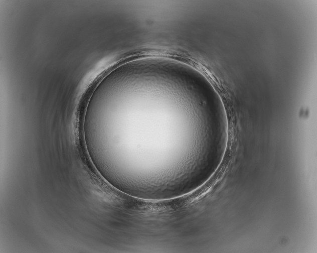 X0000091220343200708091413