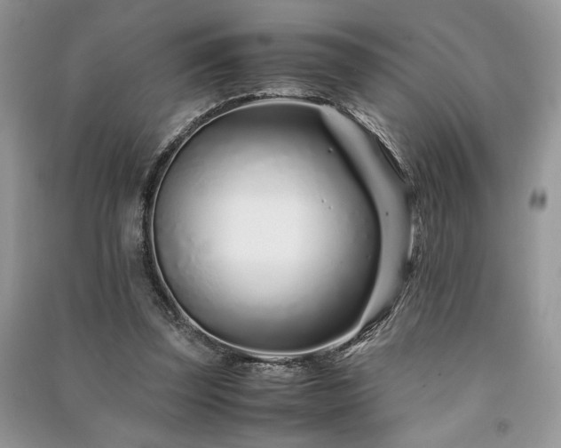 X0000091220347200708091413