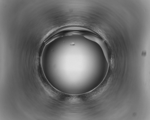 X0000091220348200708091413