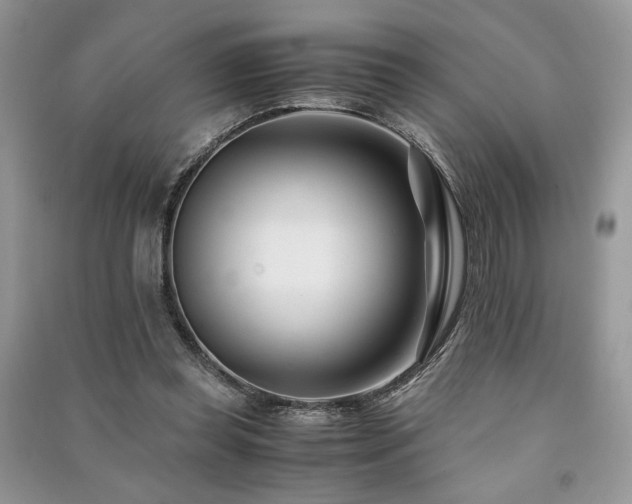 X0000091220349200708091413