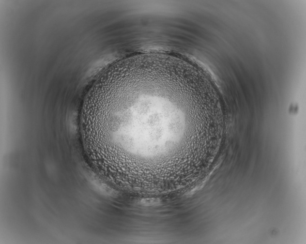 X0000091220353200708091413