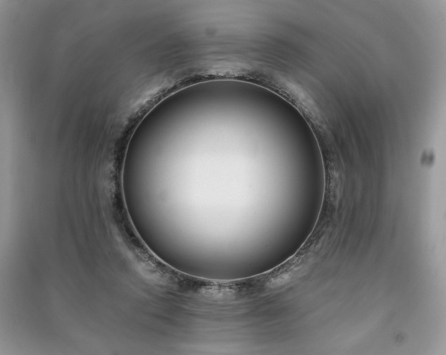 X0000091220354200708091413