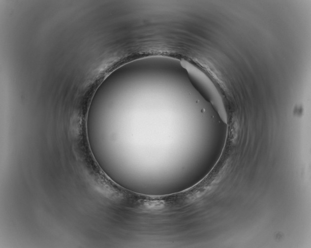 X0000091220355200708091413