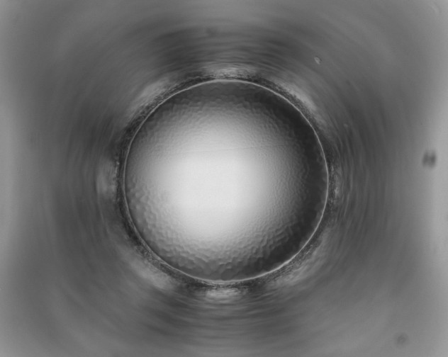 X0000091220357200708091413