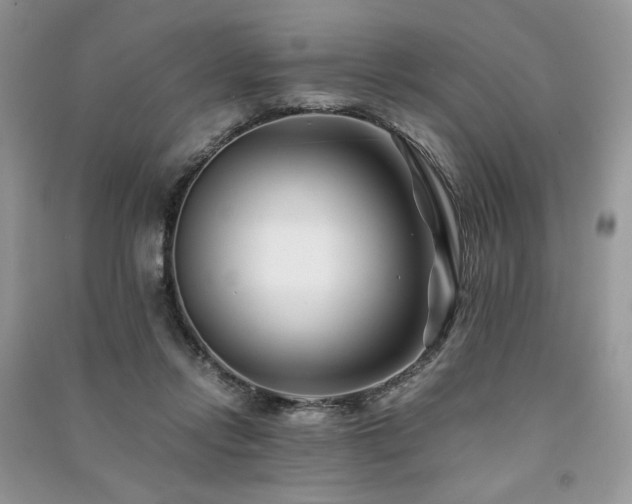 X0000091220358200708091413