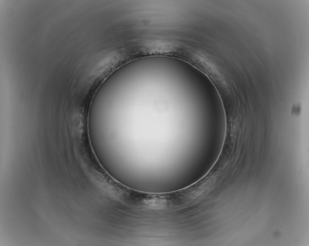 X0000091220362200708091413