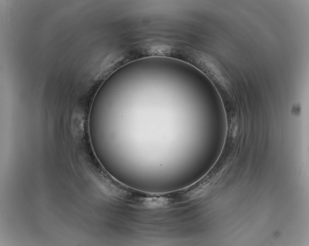 X0000091220363200708091413