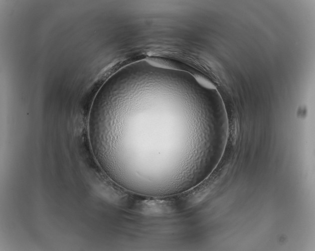 X0000091220367200708091414