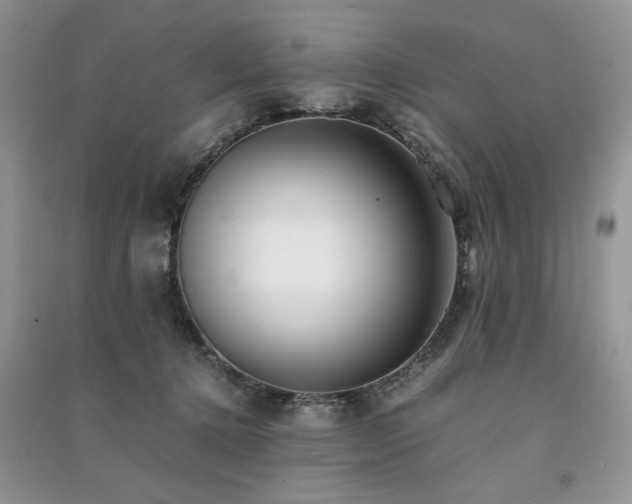 X0000091220368200708091414