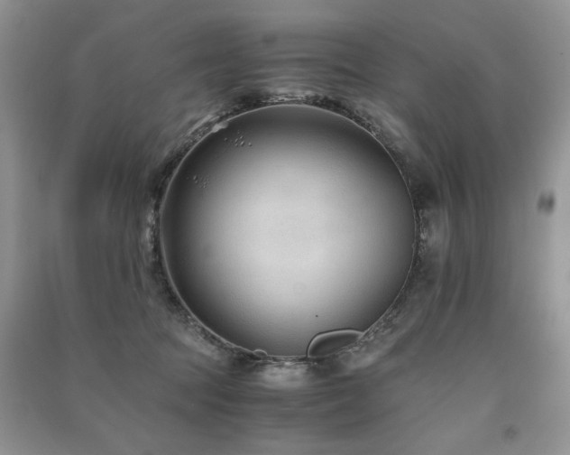 X0000091220369200708091414