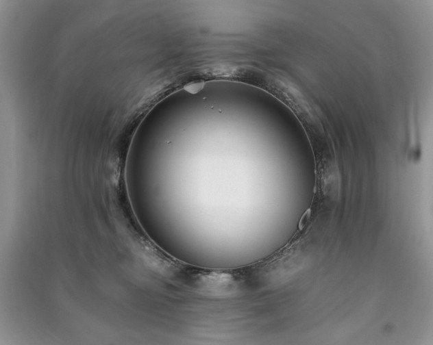 X0000091220374200708091414