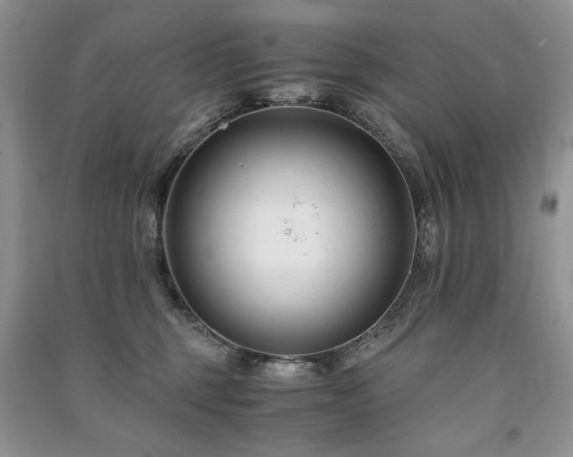 X0000091220375200708091414