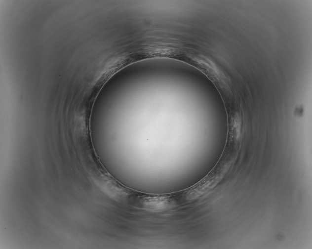 X0000091220377200708091414