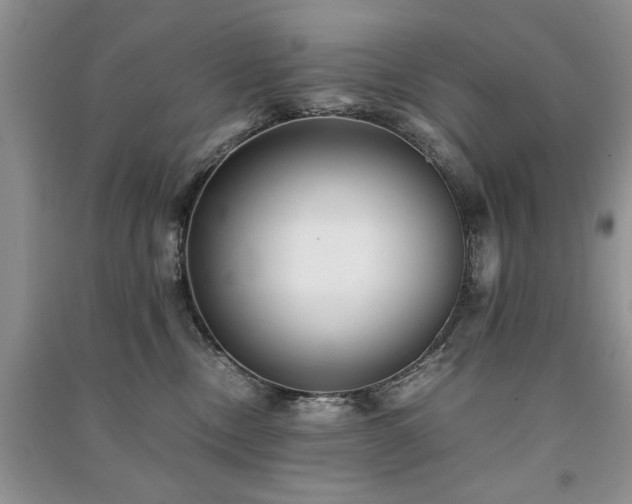 X0000091220378200708091414