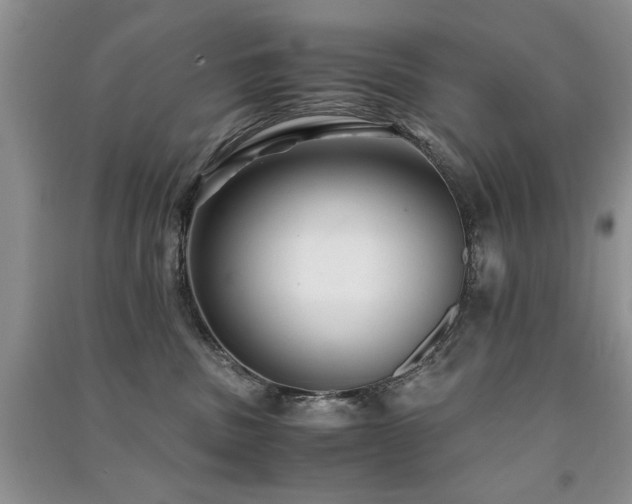 X0000091220379200708091414