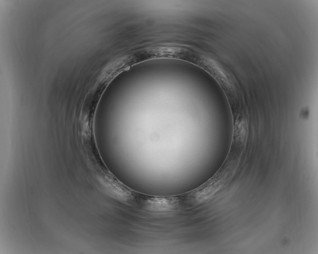 X0000091220381200708091414