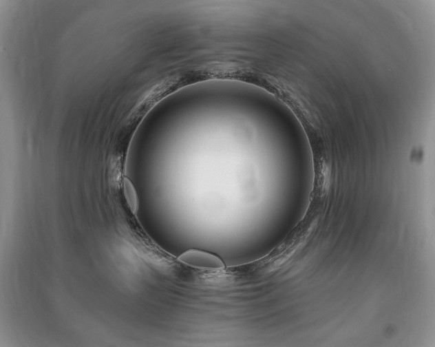 X0000091220383200708091414