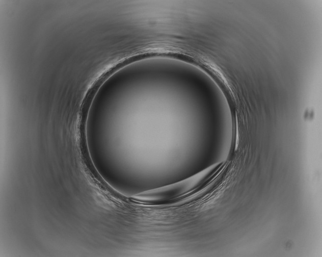 X0000091220387200708091413