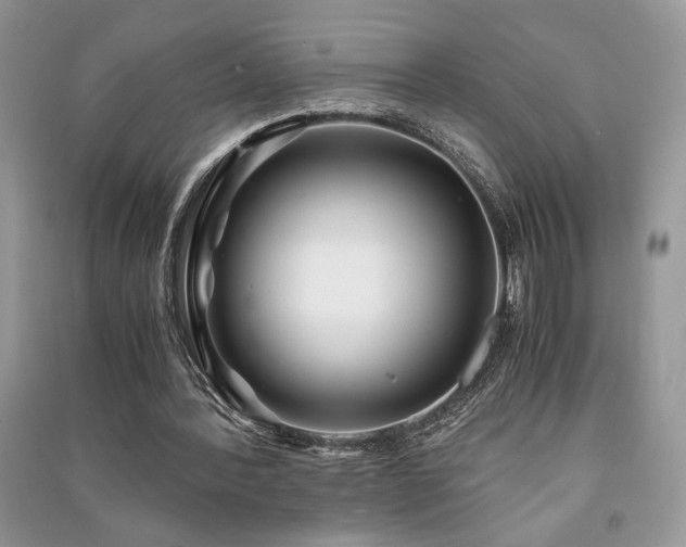 X0000091220388200708091413