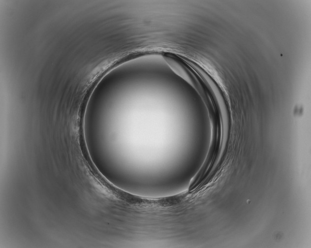 X0000091220389200708091413