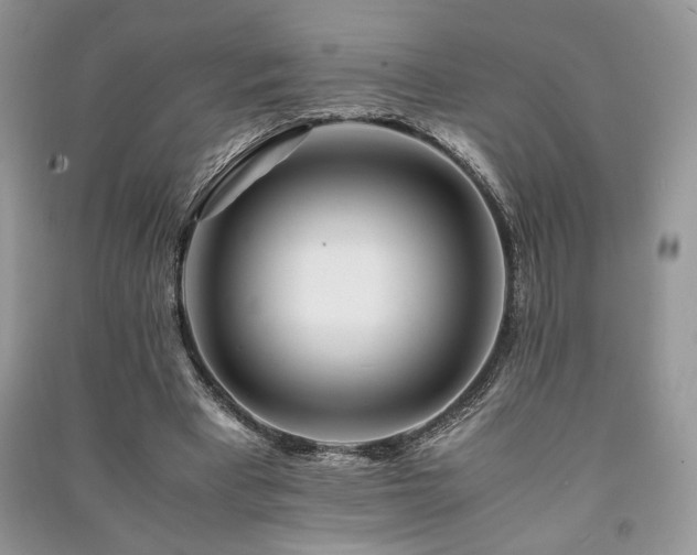 X0000091220393200708091413