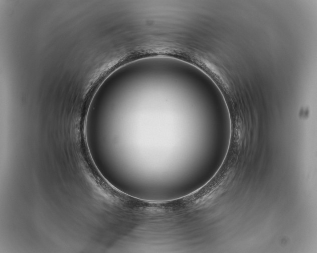 X0000091220394200708091413