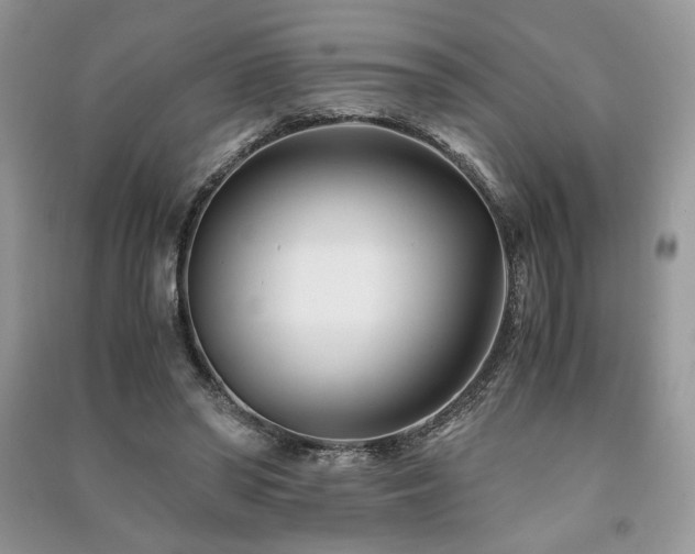 X0000091220398200708091413