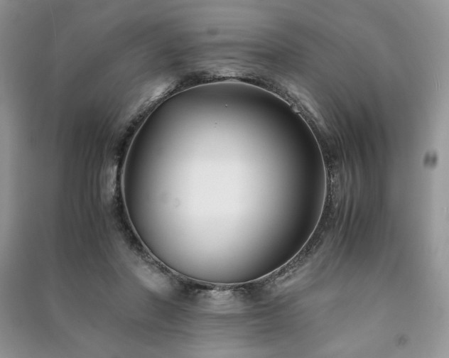 X0000091220406200708091413