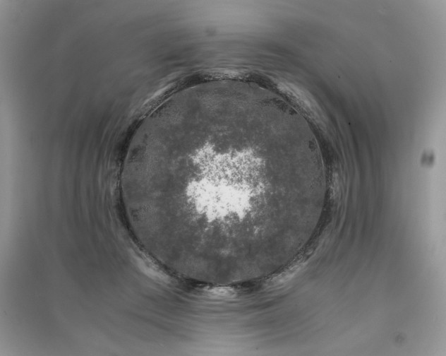 X0000091220409200708091413