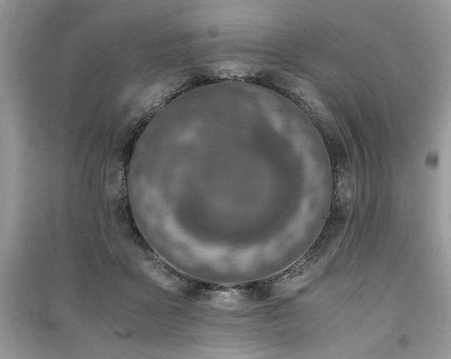 X0000091220411200708091413