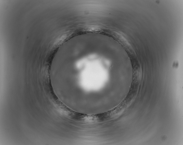 X0000091220415200708091413