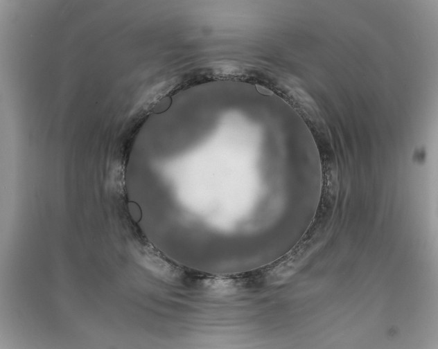 X0000091220419200708091412