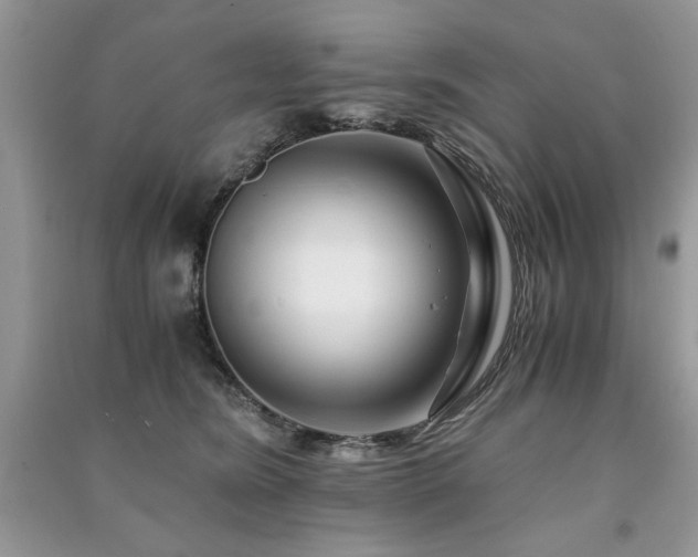 X0000091220420200708091412