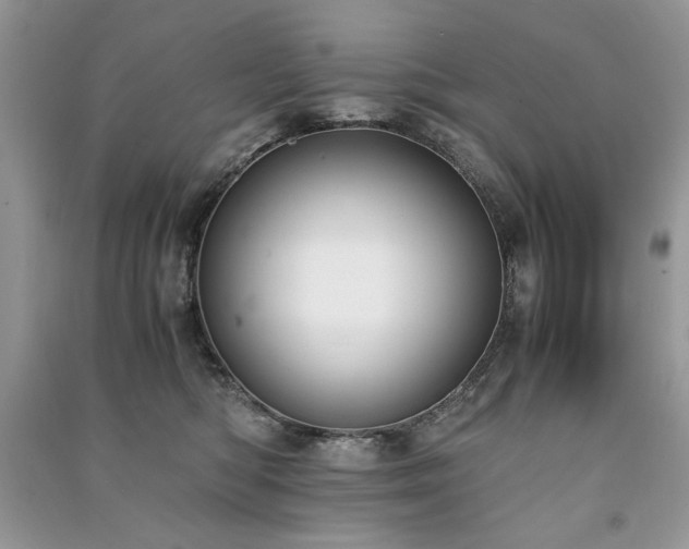 X0000091220422200708091412