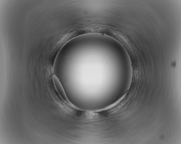 X0000091220429200708091412