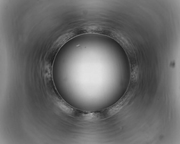 X0000091220430200708091412