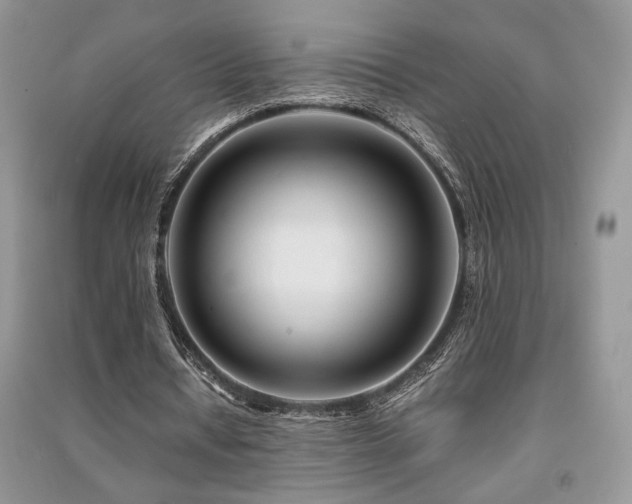 X0000091220434200708091412