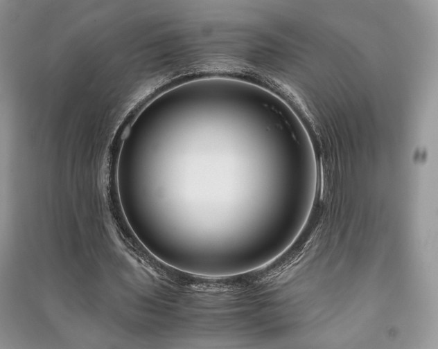 X0000091220435200708091412