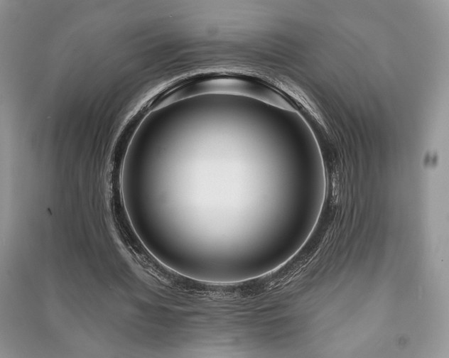 X0000091220436200708091412