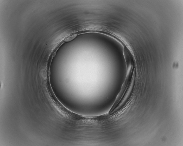 X0000091220437200708091412