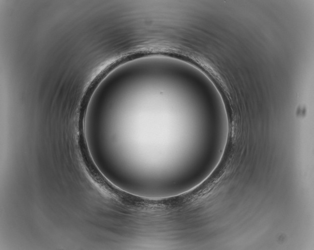 X0000091220438200708091412