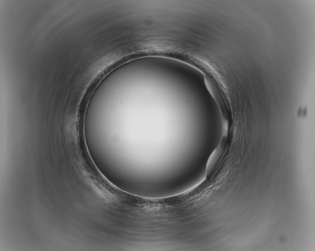 X0000091220439200708091412