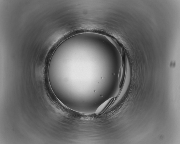 X0000091220440200708091412