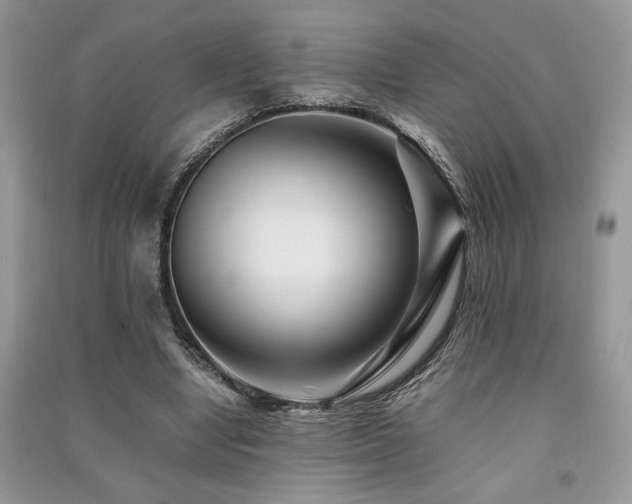 X0000091220442200708091412