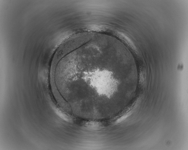 X0000091220444200708091412