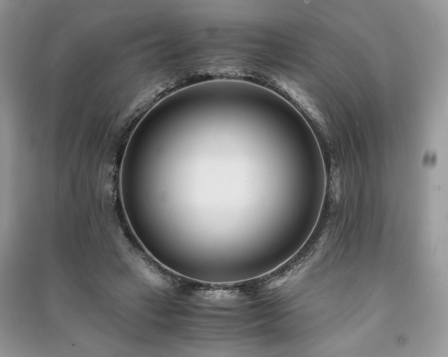 X0000091220449200708091412