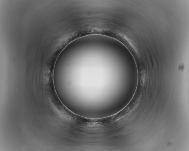 X0000091220451200708091412